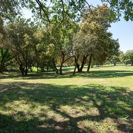 Riboleys - Grande Au Golf De Beziers فيلة Montblanc