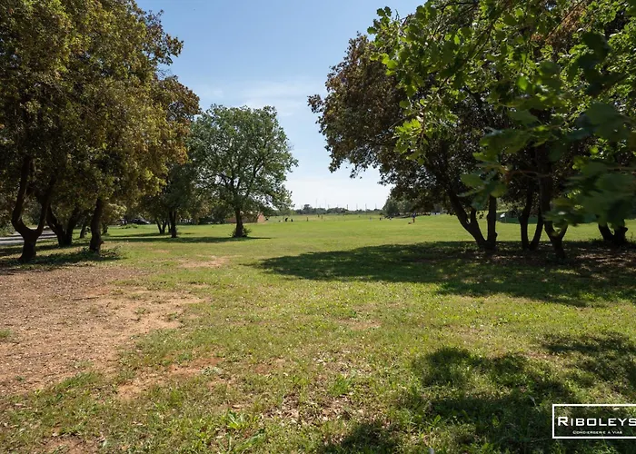 빌라 Riboleys - Grande Au Golf De Beziers Montblanc